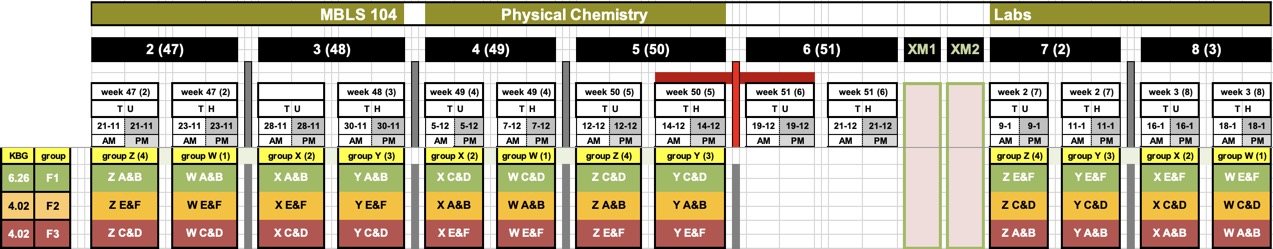 P2-MBLS104 timeline