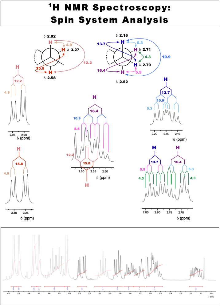 spectro_nmr_h_SS_analysis2